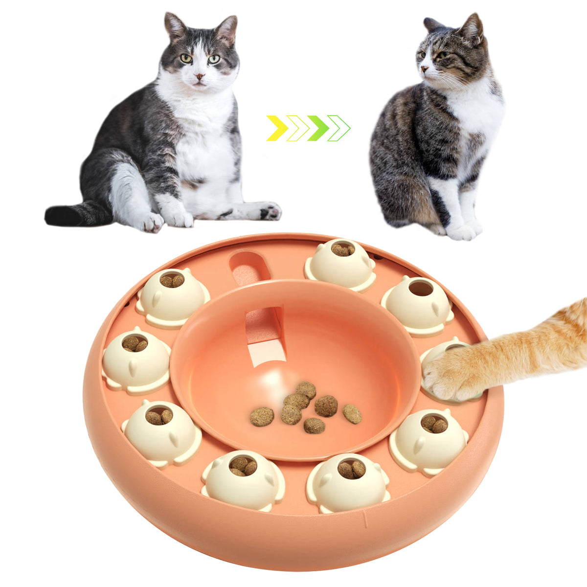 TACKDG Pet Supplies Manufacturer Cat Toys Manufacturers Factory Company - Weight Loss Cat Bowl