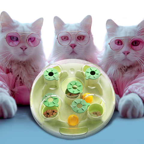 TACKDG Cat Puzzles Toy Indoor for Cats Weight Loss Interactive Toys Kitten Slow Feeder Kitty Food Treat Puzzles Feeding Dispenser Brian Stimulation Track Balls Pet Fun Birthdat Gift