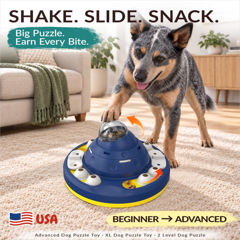 KADTC Advanced Dog Puzzle Toy, XL 2-Level Mental Stimulation for Smart Dogs