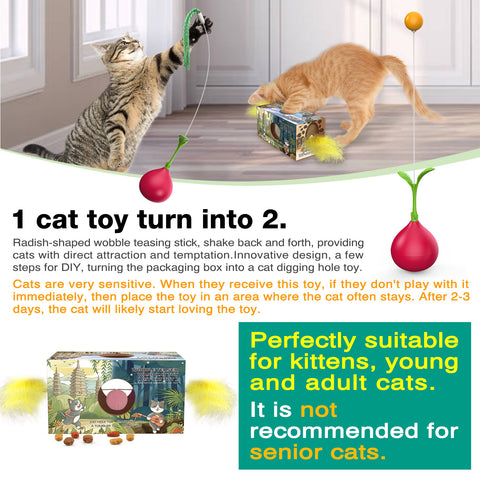 TACKDG Cat Interactive Toys for Indoor Cats Kitten Tumbler Balls Kitty Feather Toy Teaser Wand String Birthday Gift CH