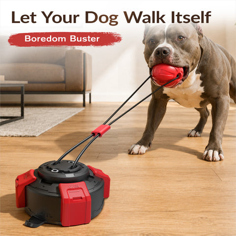 KADTC Suction Cup Dog Tug Toy for Aggressive Chewers, Medium & Large Breeds