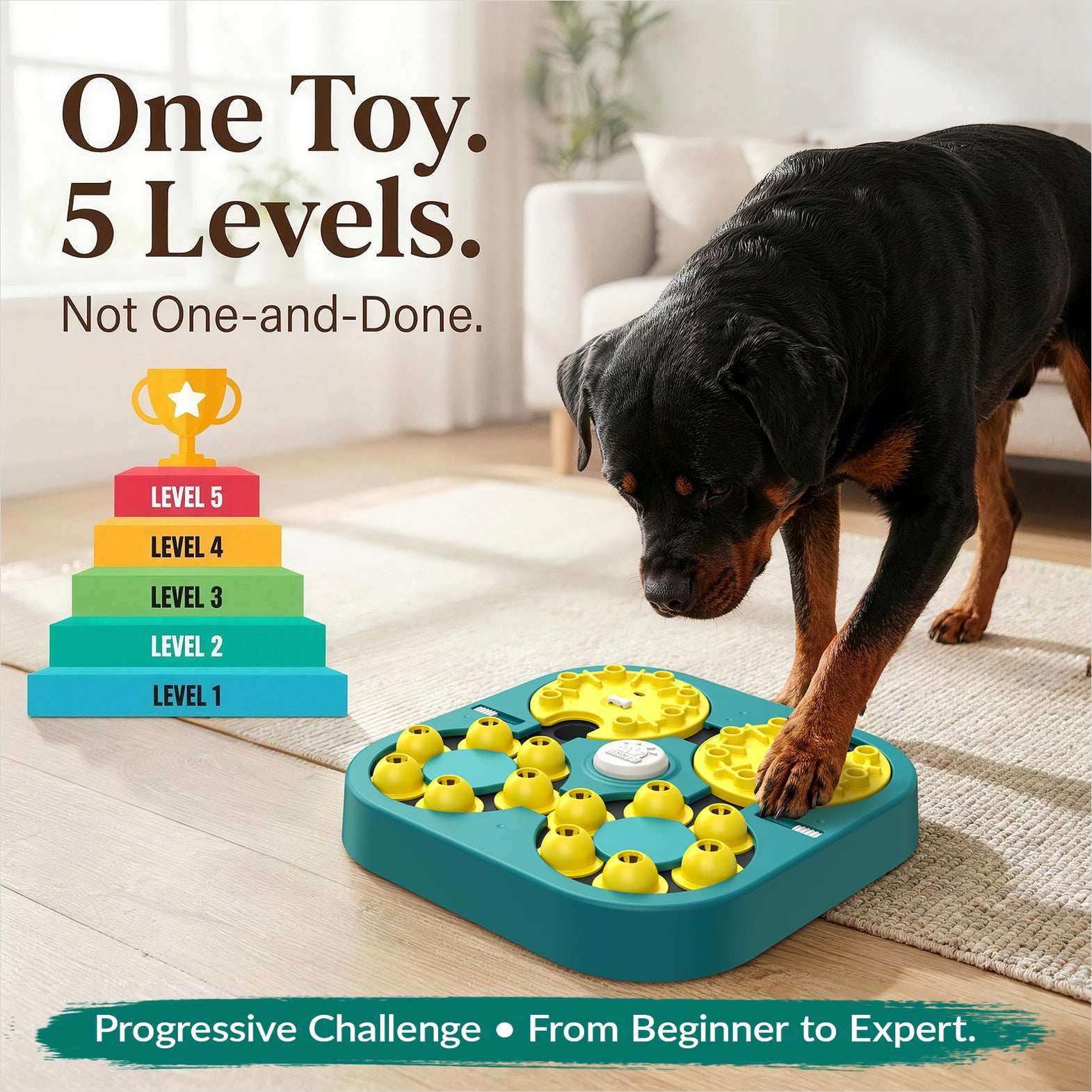 444.dogs専用 KADTC 4 Levels IN 1,Extra-Large Size,Beginner To Advanced Dog