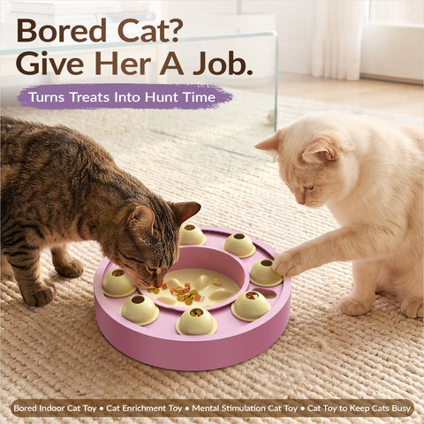 KADTC Cat Puzzle Toy, Slow Feeder, Interactive Enrichment for Indoor Cats