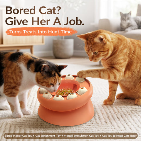 KADTC Cat Puzzle Toy Slow Feeder Bowl for Fast Eater, Kitten Enrichment Toy