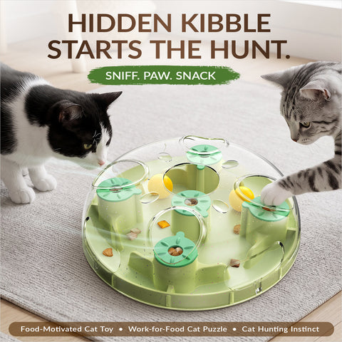 KADTC 2-in-1, Cat Puzzle Toy & Foraging Ball, Treat Hunt for Indoor Cats