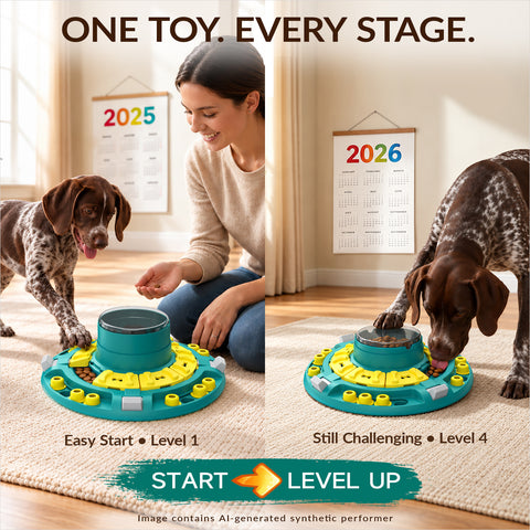 KADTC XL, 4 Levels Dog Puzzle Toy, Push-to-Release Treat Dispenser for Dogs