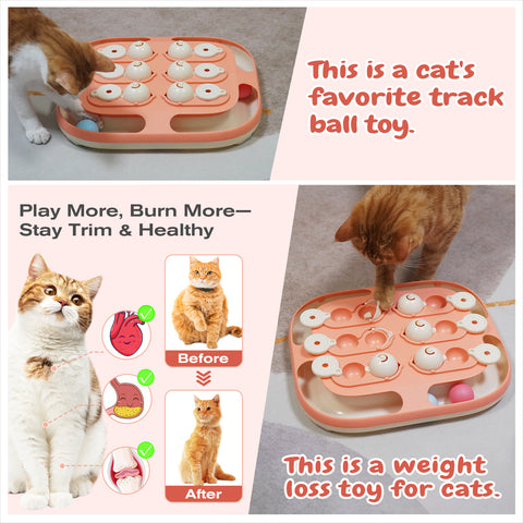 KADTC 2 Ways to Play Large Size Cat Treat Puzzle Toy
