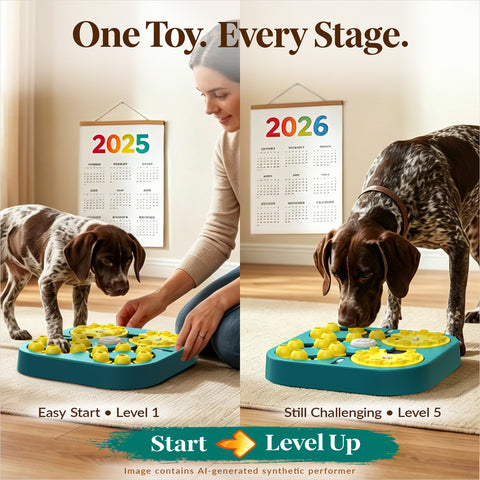 KADTC 5-Level Extra-Large Dog Puzzle Toy, 6 Ways to Play