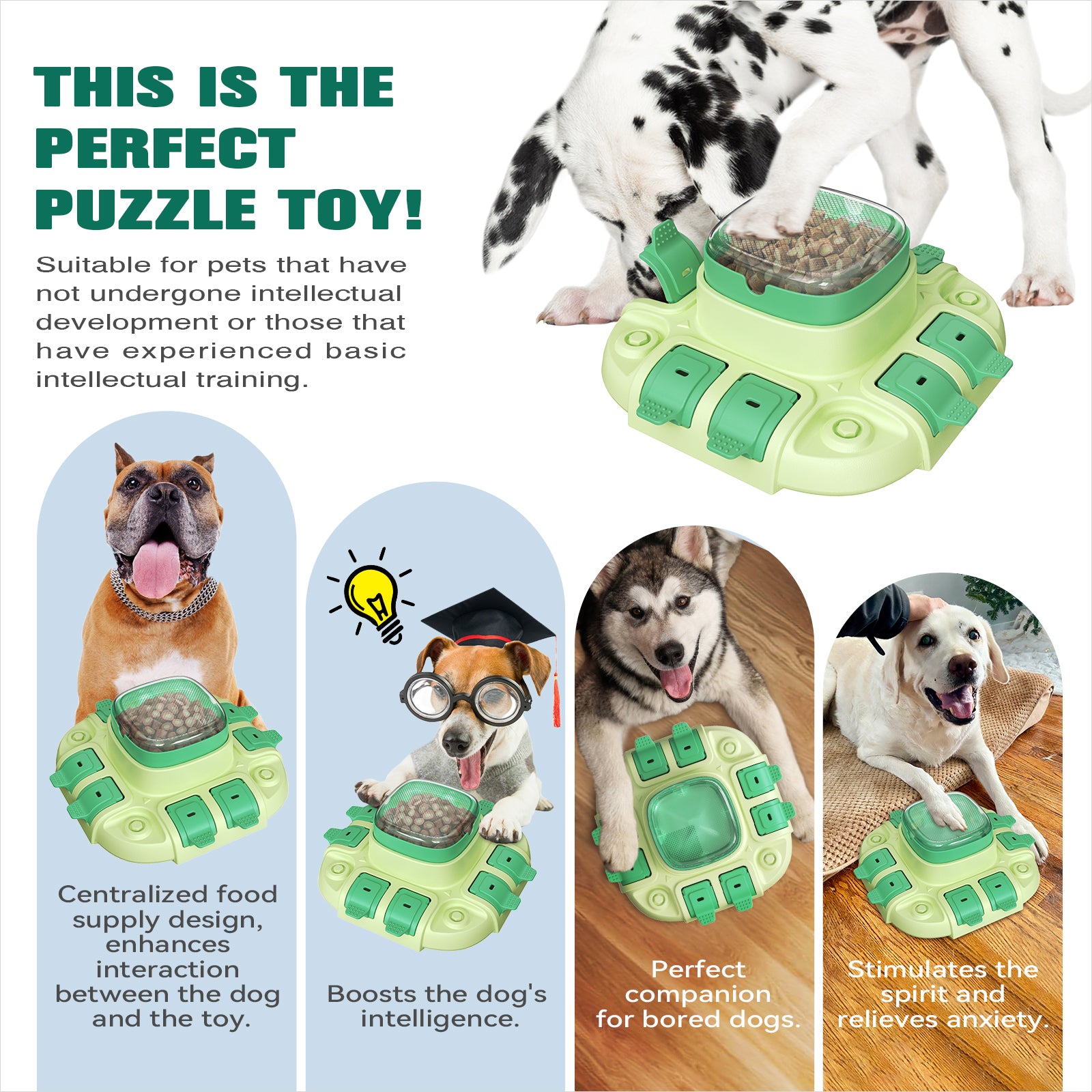 Dog Puzzle Toys Best Puppy Toys To Keep Them Busy KADTC Dog Puzzle