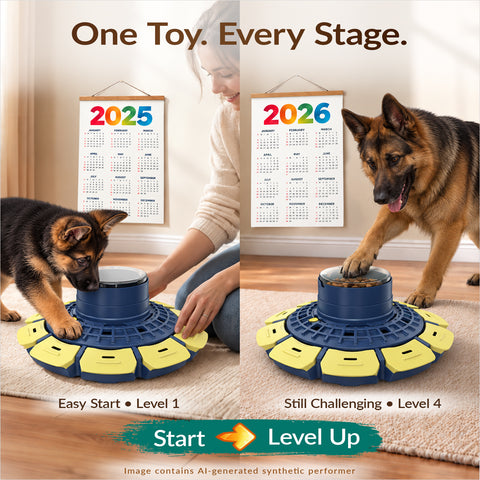 KADTC Dog Puzzle Toy, XL 3-Level, Beginner to Expert Mental Stimulation Toy