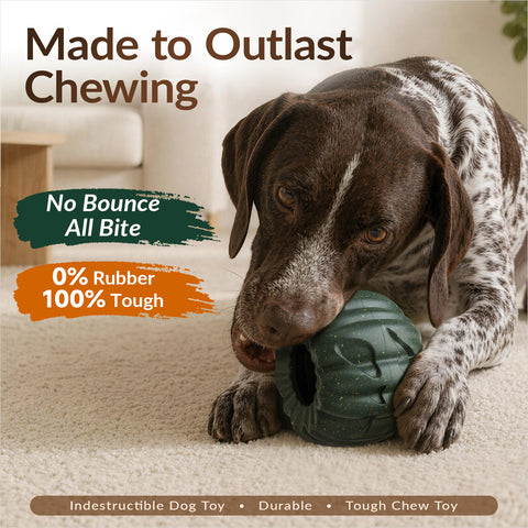 KADTC 3-in-1 Dog Frozen Treat Ball, Large Size, No-Transfer Fill & Freeze Lick Cup, Treat Dispenser & Tough Chew Toy, Long-Lasting Enrichment Toy for Dogs, Pumpkin-Shaped