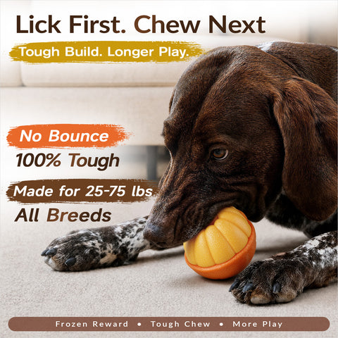 KADTC 3 IN 1 Dog Enrichment Toy Freeze & Chew & Dispensing Ball