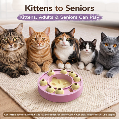 KADTC Cat Puzzle Toy, Slow Feeder, Interactive Enrichment for Indoor Cats
