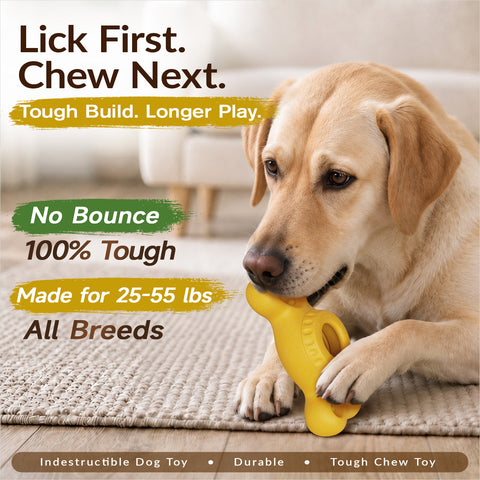 KADTC 3-in-1 Frozen Treat, Lick, Tough Chew Dog Toy for Medium/Large Dogs