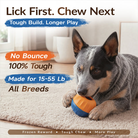 KADTC FrostLick 3-in-1, M Size, Frozen Treat Dog Toy, Kibble Dispenser Ball