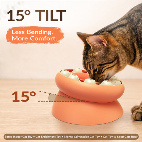 KADTC Cat Puzzle Toy Slow Feeder Bowl for Fast Eater, Kitten Enrichment Toy