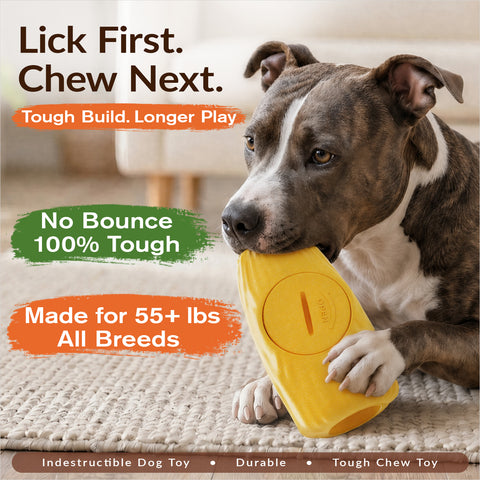 KADTC 3 in 1 Large Size Durable Dog Frozen Treat Toy & Chew & Fillable Toy