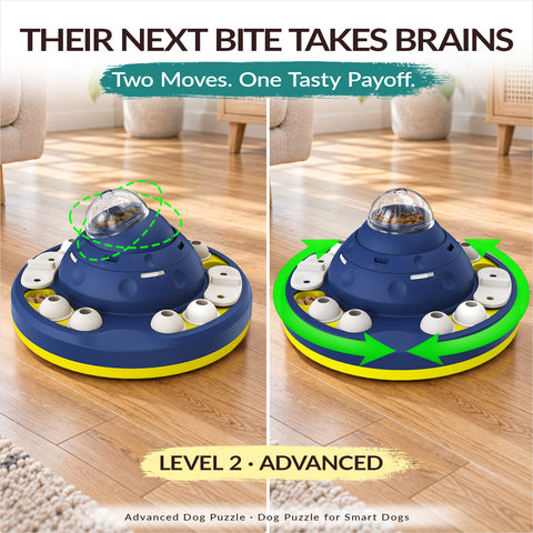KADTC Advanced Dog Puzzle Toy, XL 2-Level Mental Stimulation for Smart Dogs