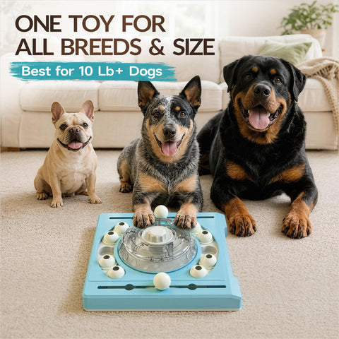 KADTC 2-Level Dog Puzzle Toy, Spin to Release Treat Dispenser & Slow Feeder