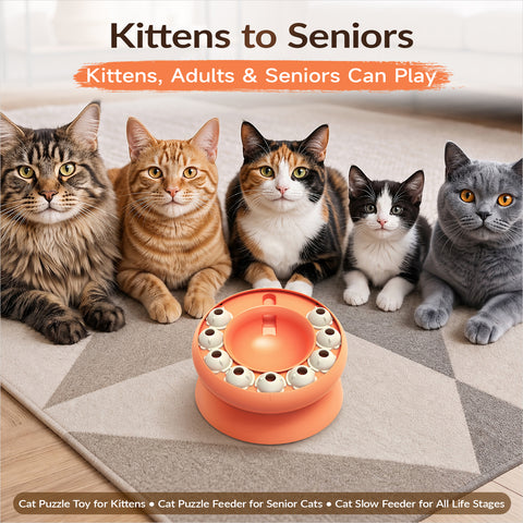 KADTC Cat Puzzle Toy Slow Feeder Bowl for Fast Eater, Kitten Enrichment Toy