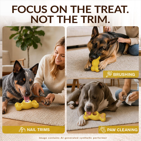 KADTC 3-in-1 Frozen Treat, Lick, Tough Chew Dog Toy for Medium/Large Dogs