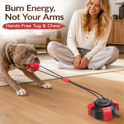 KADTC Suction Cup Dog Tug Toy for Aggressive Chewers, Medium & Large Breeds