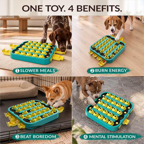 KADTC Hard Dog Puzzle Toy, XL, 4 Levels, Mental Stimulation for Smart Dogs