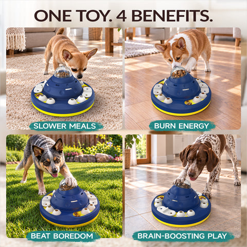 KADTC Advanced Dog Puzzle Toy, XL 2-Level Mental Stimulation for Smart Dogs