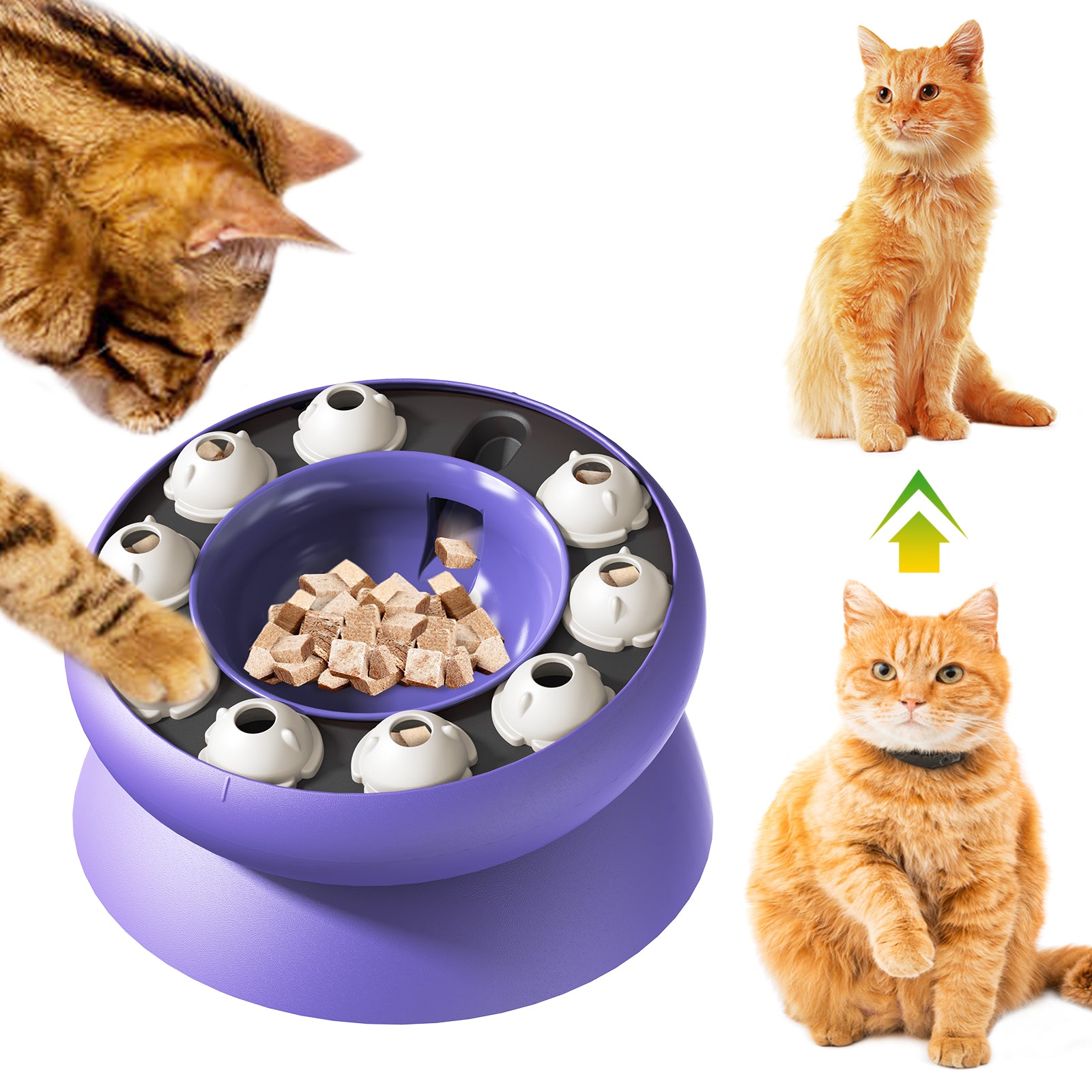 TACKDG Pet Supplies Manufacturer Cat Toys Manufacturers Factory Company - Weight Loss Cat Bowl