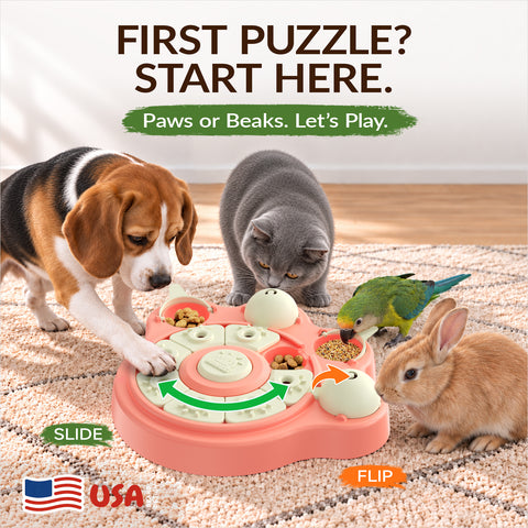 KADTC Large Puzzle Toy, Beginner Brain Game for Dogs, Cats, Macaws, Rabbits