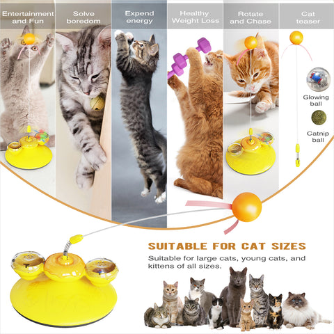 KADTC Pet Supplies Manufacturer Dog Toys Manufacturers Factory Company - Doughnut Cat Toy