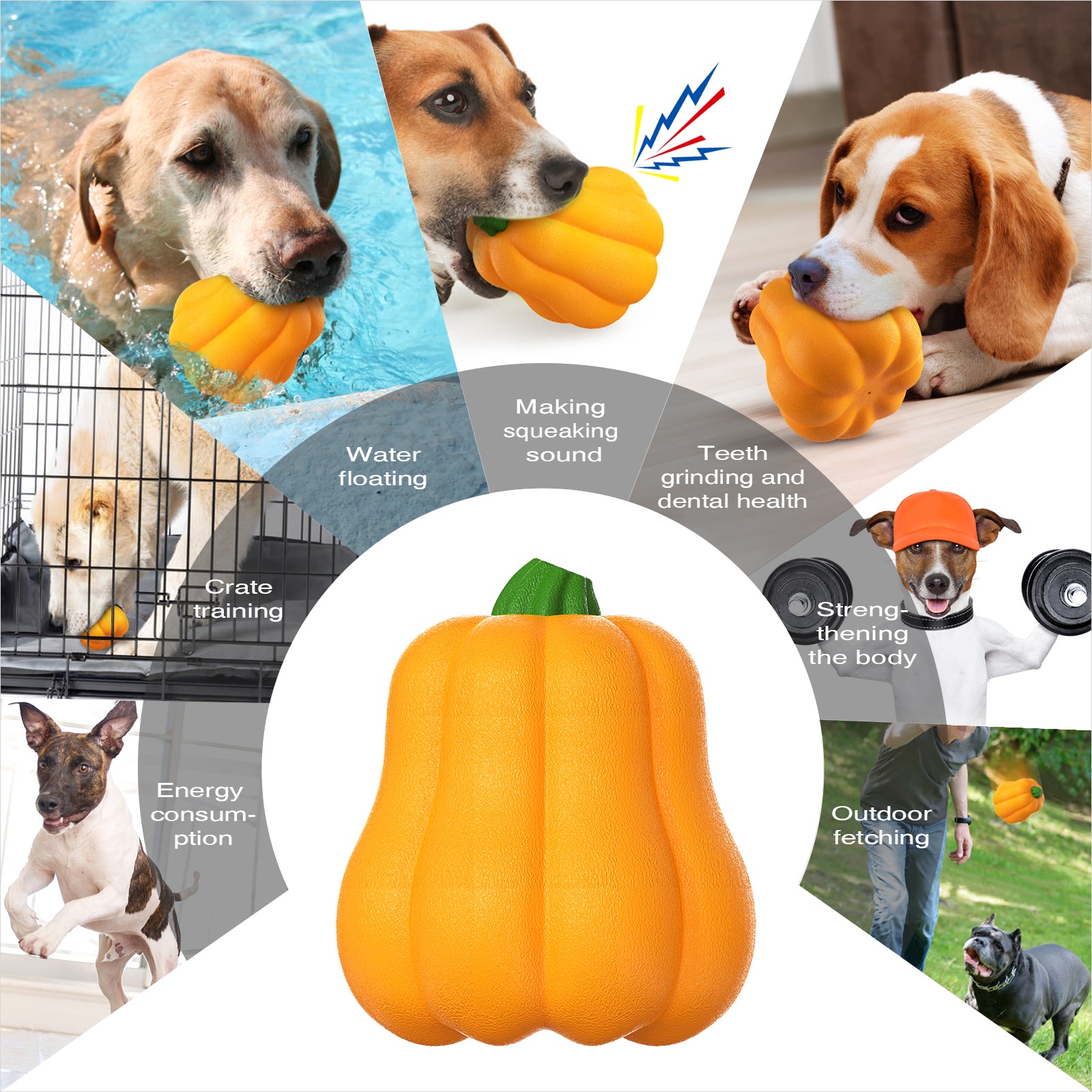 Dog Toys to help with Crate Training