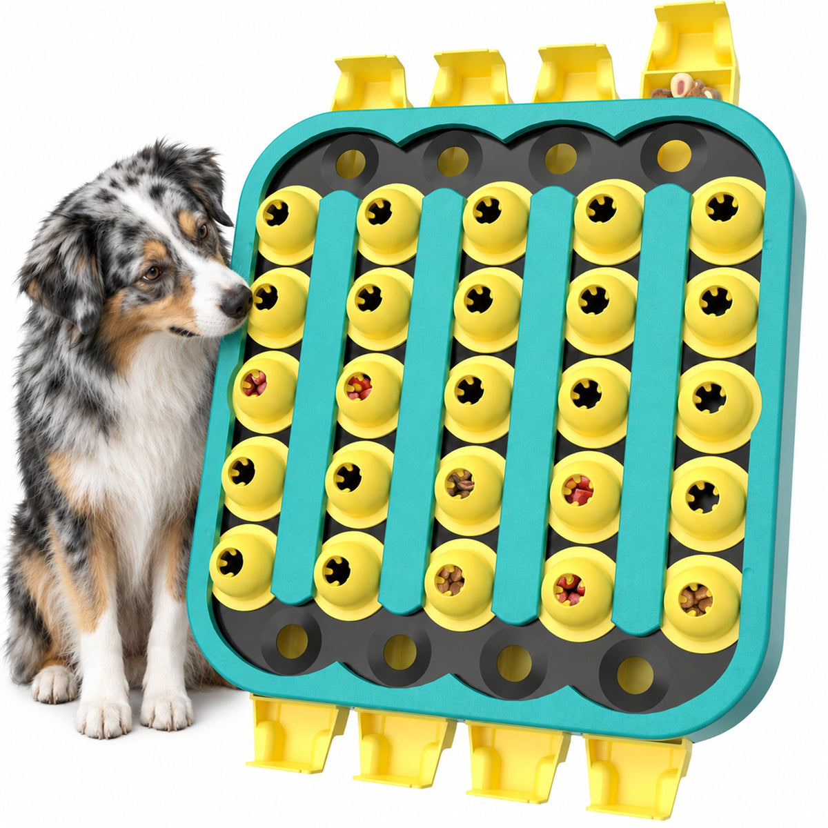 KADTC Hard Dog Puzzle Toy, XL, 4 Levels, Mental Stimulation for Smart Dogs