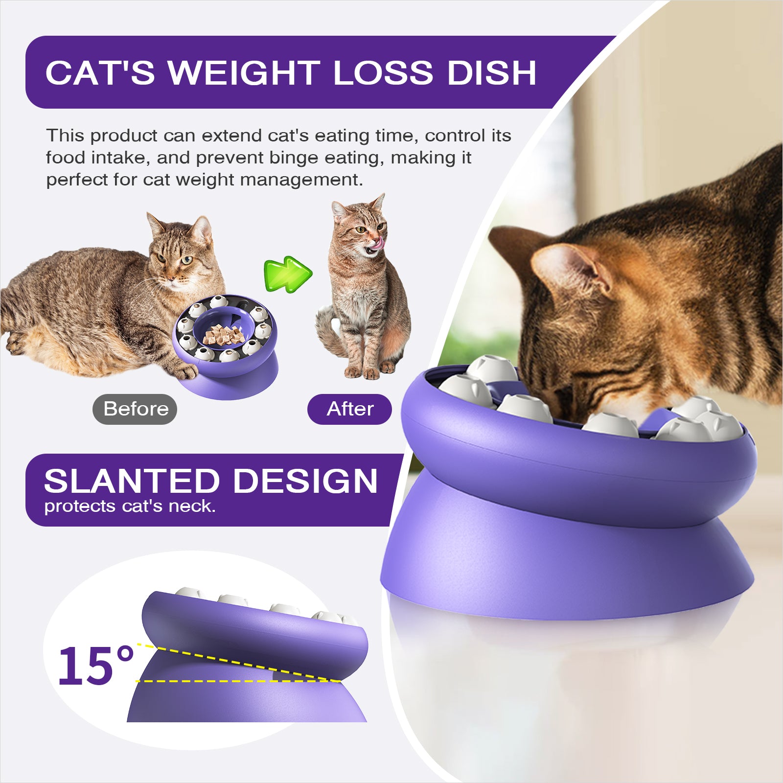 TACKDG Pet Supplies Manufacturer Cat Toys Manufacturers Factory Company - Weight Loss Cat Bowl