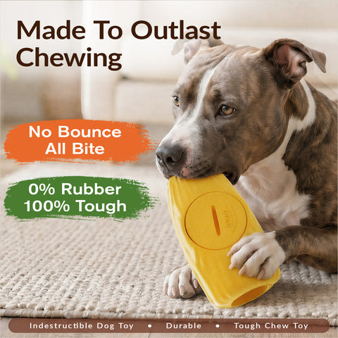 KADTC 3 in 1 Large Size Durable Dog Frozen Treat Toy & Chew & Fillable Toy