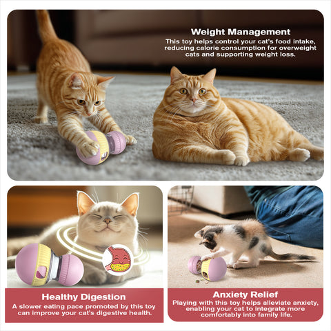 Cat Treat Dispensing Toy Kitten Puzzle Feeder & Food Dispenser Ball - Kitty Enrichment Toys for Indoor Cats Kitty Stimulating Tous