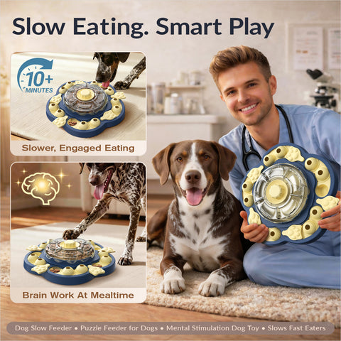 KADTC 3-Level Vertical Dog Puzzle Feeder showing slower eating and interactive treat-finding play