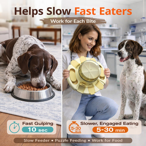 KADTC 2 Levels of Challenge Dog Puzzle Toy Slow Feeder