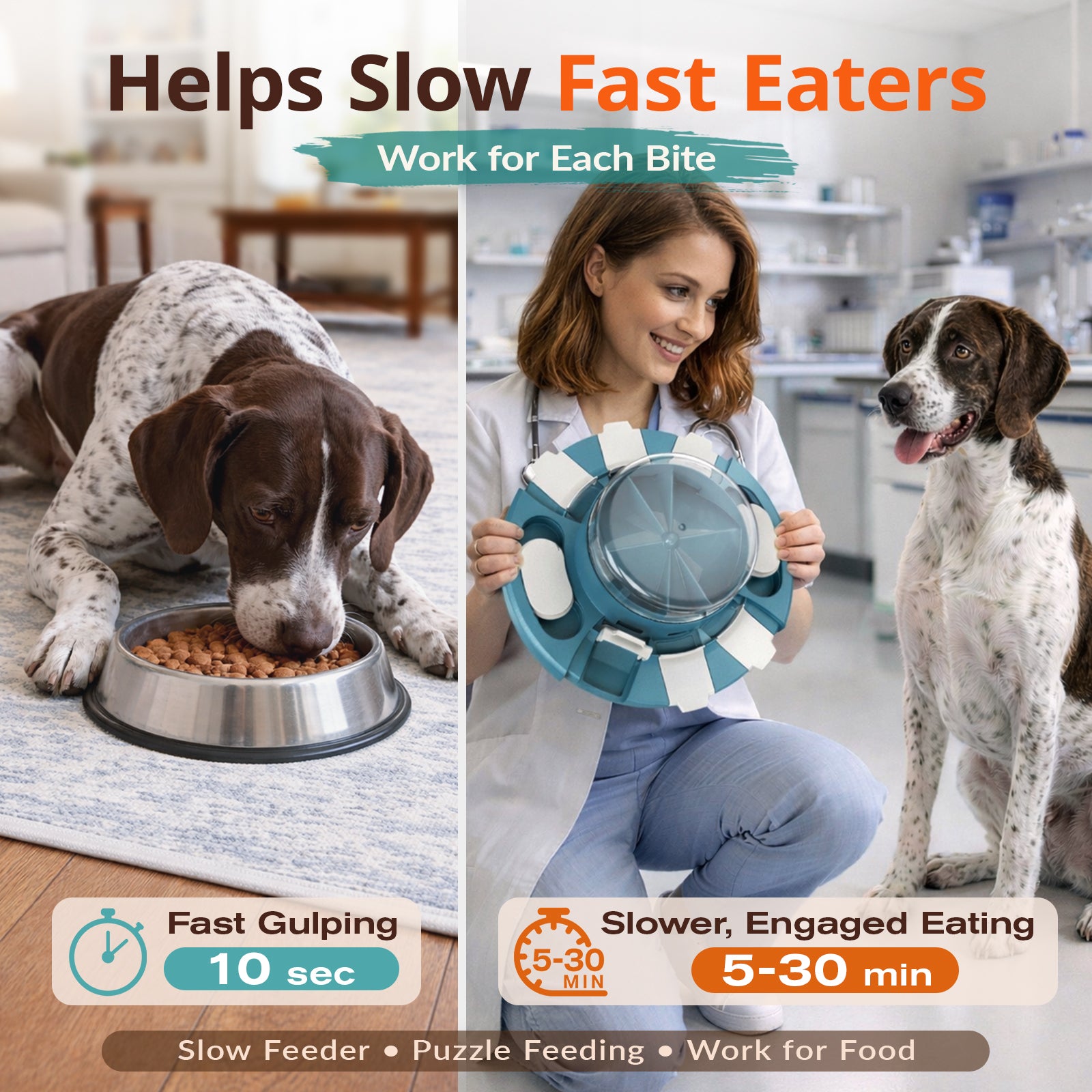 KADTC 2-Level Diner Dog Puzzle Feeder showing slower feeding routine for fast eaters