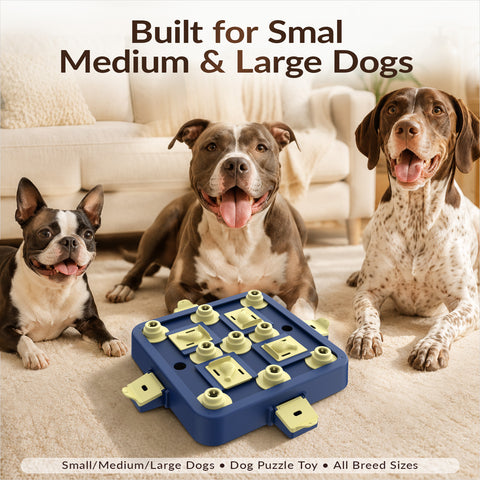 KADTC 3-Level Dog Chess Puzzle Toy, Easy to Advanced
