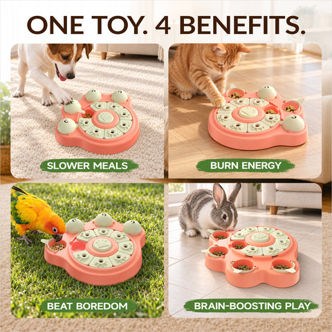 KADTC Large Puzzle Toy, Beginner Brain Game for Dogs, Cats, Macaws, Rabbits