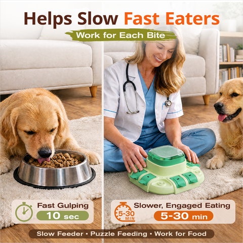 KADTC 2 IN 1 Levels Dog Puzzle Feeder Toy