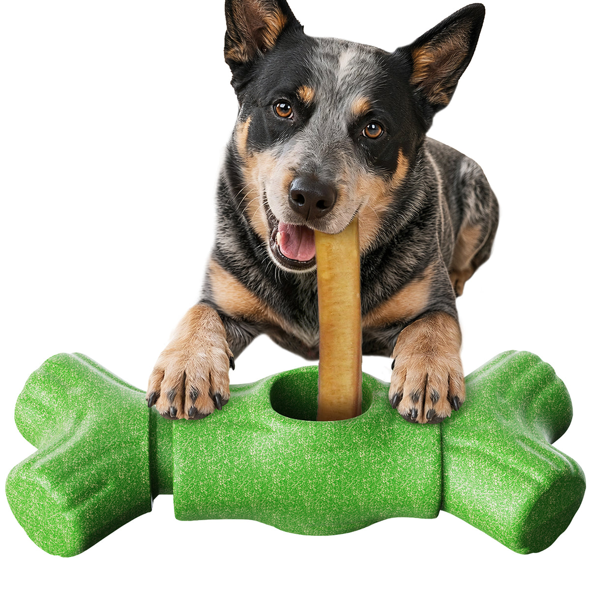 KADTC 2 in 1 Extra-Large Size Durable Dog Bully Stick Holder and Indestructible Bone Chew Toy for Medium/Large Aggressive Chewers Breed Dogs
