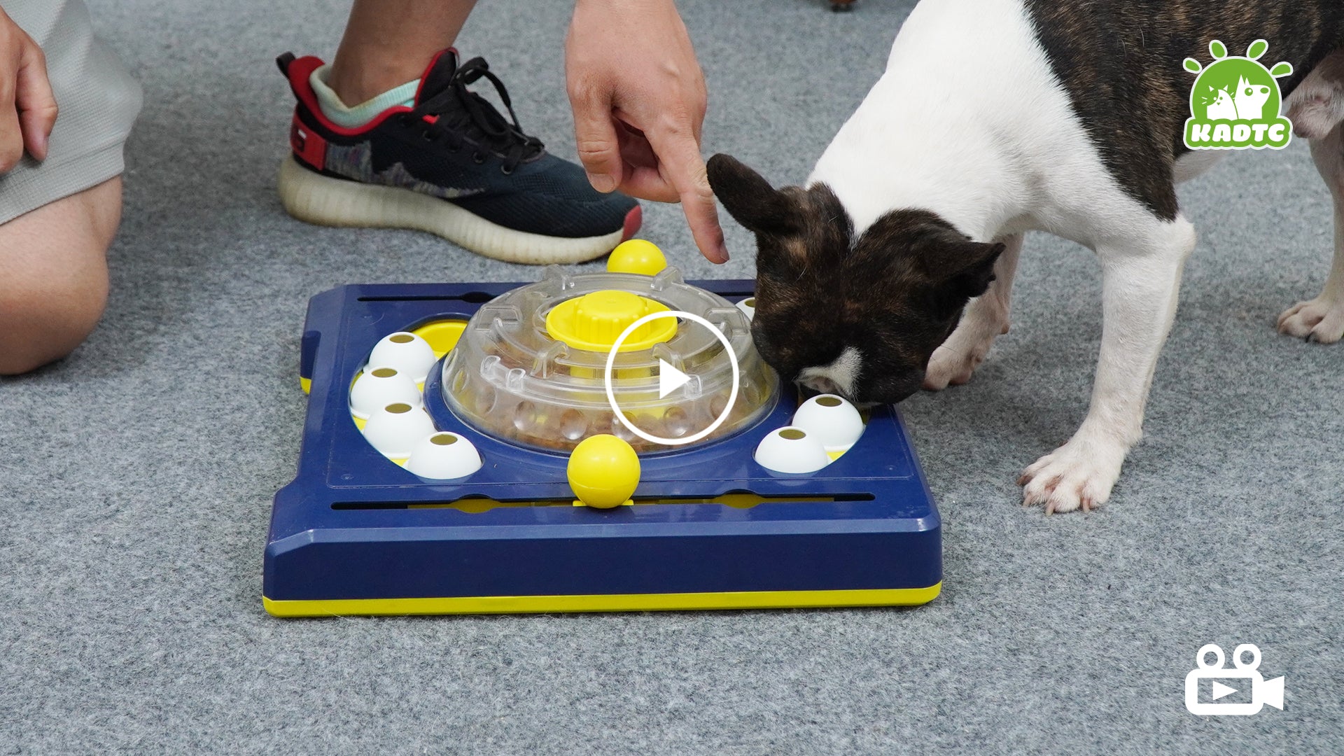 KADTC Dog Puzzle Toy Dogs Brain Stimulation Mentally Stimulating Educa –  Genoz